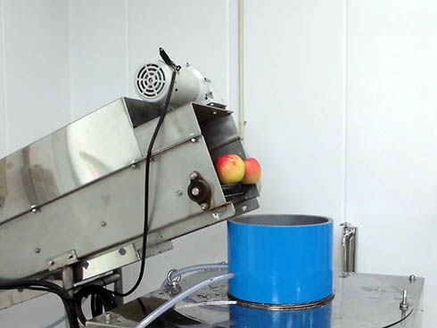 りんごジュース加工工程１