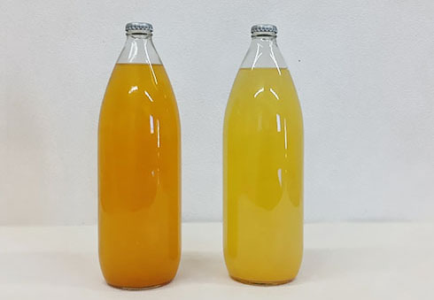 1000mlボトル王冠